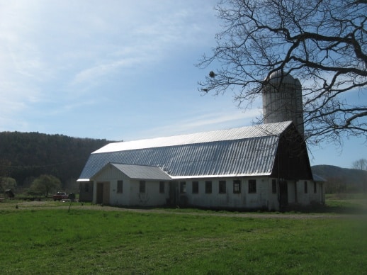 barn with cats