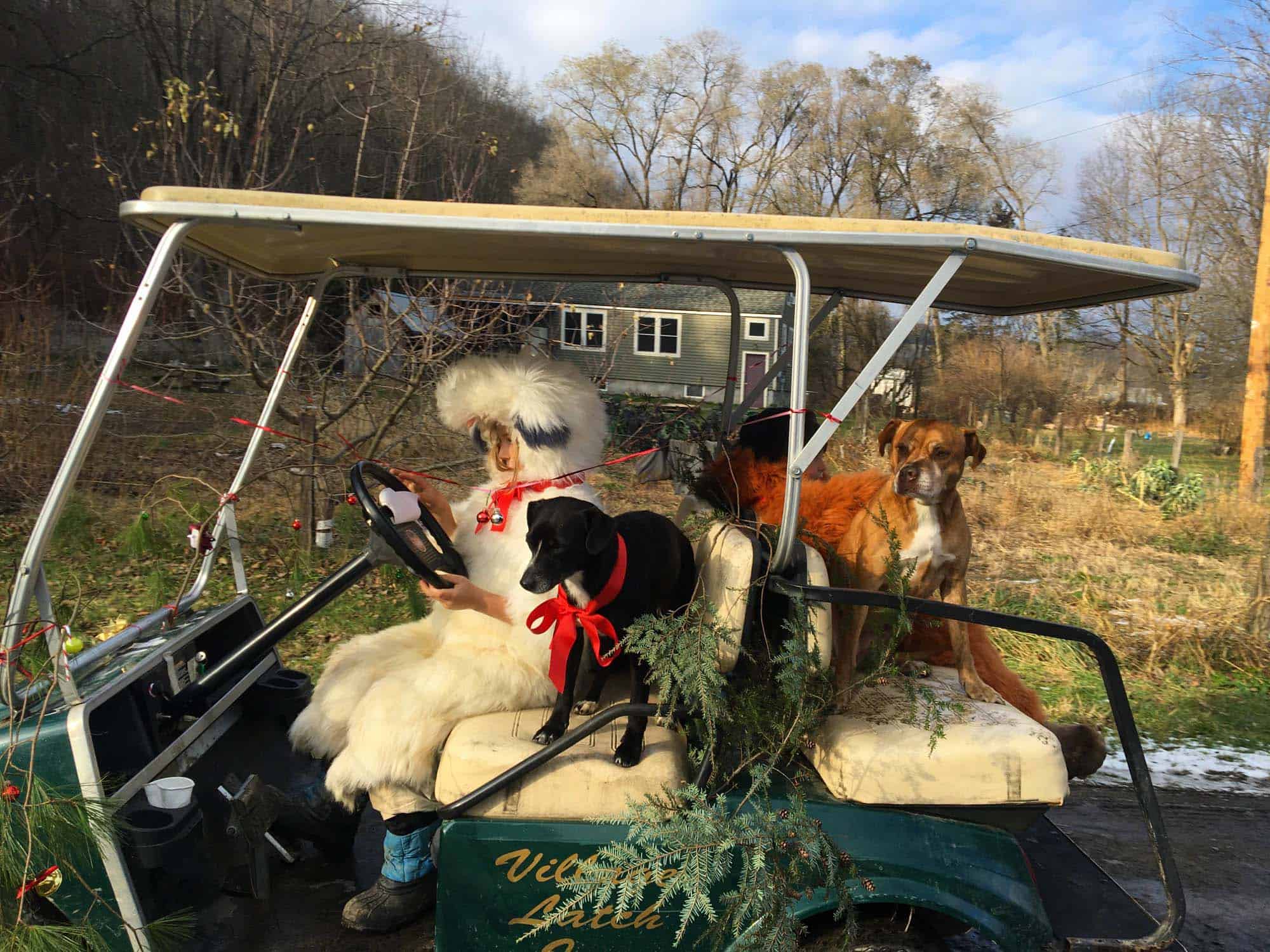 Dog Delivery Eve's Cidery
