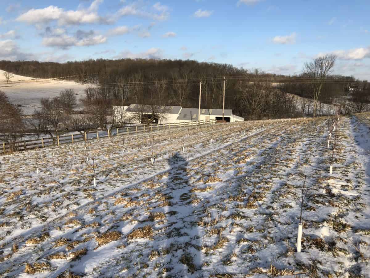GR winter field 2018 planting