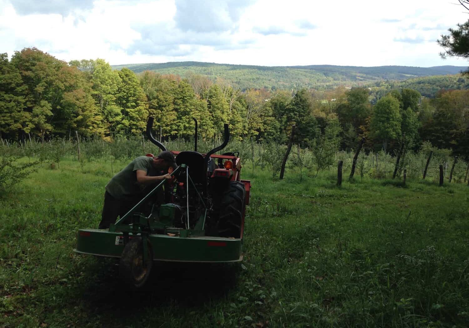 hills-north-orchard-tractor-at-eves-cidery